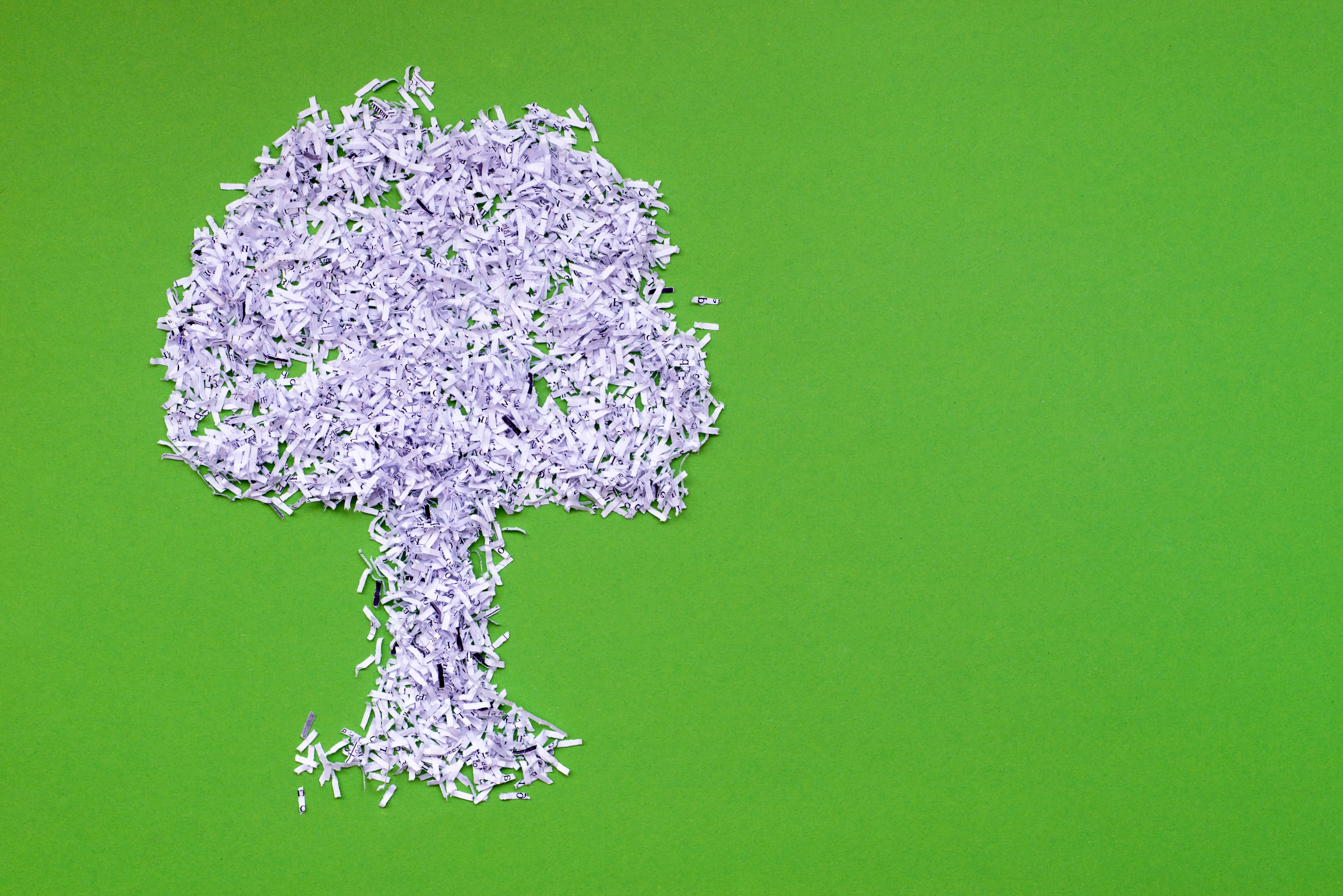 Roheline Valik: Kuidas Dokumentide Hävitamine ja Digiteerimine Säilitavad Meie Planeeti